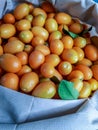 seasonal fruits, Japanese oranges