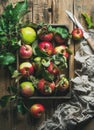 Seasonal garden harvest apples with green leaves in wooden tray Royalty Free Stock Photo