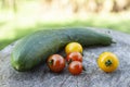 Seasonal garden vegetables tomatoes and cucumber