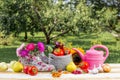 Seasonal gardening set background with various autumn fruits, vegetables gardener tools.