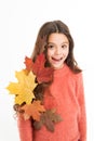 Seasonal hair loss in autumn is most often caused by the repercussions of summer. Girl cute child long hair dry autumn