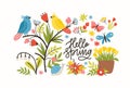 Seasonal horizontal banner template with Hello Spring phrase, blooming meadow flowers, cute pretty funny birds and