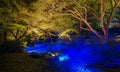 Seasonal illuminations at Rikugien Garden, Tokyo, Japan Royalty Free Stock Photo