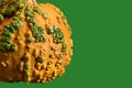 Autumn and fall orange and green harvest gourd pumpkin on green background slide