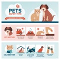 Seasonal pet safety tips