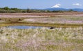 Seasonal Pond with Wildflowers on the Table Rocks in Oregon Royalty Free Stock Photo