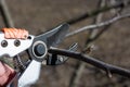 Seasonal pruning of branches on fruit trees with secateurs. Work in the garden