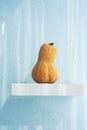 Seasonal pumpkin on white shelf for home decoration. Minimalism style autumn inspired interior design