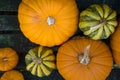 Seasonal Pumpkins