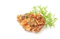 Seasonal small fried shrimp on white background Royalty Free Stock Photo