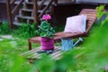 seasonal summer garden work concept. Geranium flower in pot, hat and tools