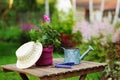 Seasonal summer garden work concept. Geranium flower in pot, hat and tools on wooden table