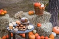 Seasonal table setting with pumpkin sweet cake and muffins