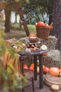Seasonal table setting with pumpkin sweet cake and muffins