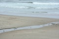 Arcadia Beach At Low Tide - Oregon Coast Royalty Free Stock Photo