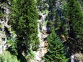 Seasonal waterfalls on the slopes of the Malunbach creek valley and in the Liechtenstein Alps - Steg, Liechtenstein Royalty Free Stock Photo