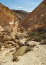 Seasonal Waterhole in Nahal Karkash Canyon near Sde Boker in Israel