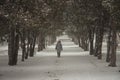 Seasonal winter city landscape day. Empty street park alley in snow. Woman in a red hat on a romantic walk. Royalty Free Stock Photo