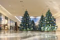 Seasonally decorated shopping mall