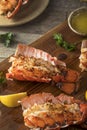 Seasoned Baked Lobster Tails Royalty Free Stock Photo