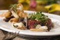 Seasoned beef tartare 2 Royalty Free Stock Photo