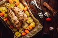 Seasoned chicken breast baked in oven Royalty Free Stock Photo