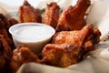 seasoned chicken wings plate Royalty Free Stock Photo