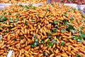 Seasoned Fried Insects Street food is very popular in Thailand. Royalty Free Stock Photo