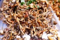 Seasoned Fried Insects Street food is very popular in Thailand. Royalty Free Stock Photo