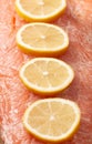 Seasoned Side of Salmon with Slices of Fresh Lemon