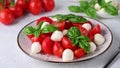 Seasoning Caprese Salad with tomato, mozzarella and basil. Seasonong salad with salt. Classic Italian Cuisine