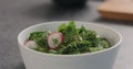 Seasoning fresh salad with radish, cucumber and herbs in white bowl Royalty Free Stock Photo