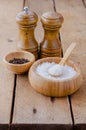 Seasoning saltcellar pepper shaker and a bowl of sea. Royalty Free Stock Photo