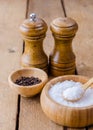 Seasoning saltcellar pepper shaker and a bowl of sea. Royalty Free Stock Photo