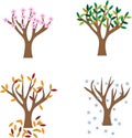 Four Seasons tree Illustration Royalty Free Stock Photo