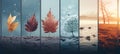 Seasons collage winter, spring, summer, autumn nature photos with colorful vertical lines Royalty Free Stock Photo