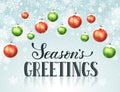 Seasons greetings card Royalty Free Stock Photo