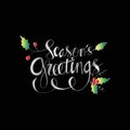 Seasons Greetings hand written lettering Royalty Free Stock Photo
