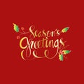 Seasons Greetings hand written lettering Royalty Free Stock Photo