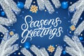Seasons Greetings hand written lettering text Royalty Free Stock Photo