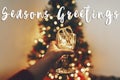Seasons greetings text, hand holding stylish vintage glass with Royalty Free Stock Photo