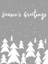 Seasons greetings text, handwritten sign on stylish simple chris