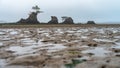 Seastacks on the Oregon Coast on a foggy day Royalty Free Stock Photo