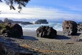 Pacific Rim National Park, Vancouver Island, South Beach on Stormy Morning, British Columbia, Canada Royalty Free Stock Photo