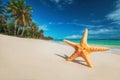 Seastar or sea starfish standing on the beach