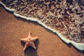 Seastar or sea starfish standing on the beach and ocean waves