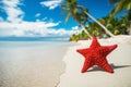 Seastar or sea starfish standing on the beach of island Saona near Punta Cana resort, Dominican Republic.