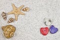 Seastar and shells Royalty Free Stock Photo