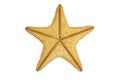 Seastar starfish back