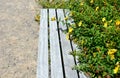 seat of a garden bench overgrown with yellow blooming flowers in the summer park Royalty Free Stock Photo